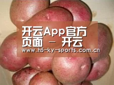 产品展示标题1